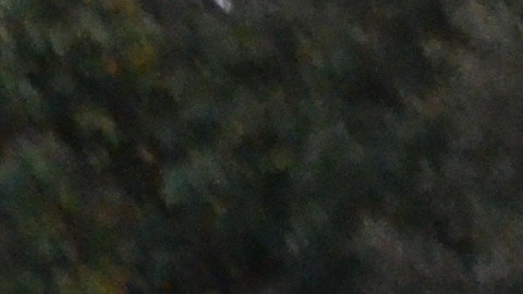 Según la Coalición para los Desamparados de Chicago, más de 65,000 habitantes de la ciudad no tienen hogar.