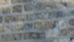 El venezolano Gustavo Dudamel Amaro, frente a la casa de campo del parque Leone Beach, en el vecindario Rogers Park, que opera como albergue provisional para migrantes recién llegados desde Texas a Chicago. (Belhú Sanabria / La Raza)