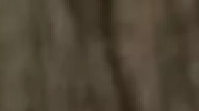 La policía dijo que Mateo Zastro viajaba con su madre y tres hermanos cerca de 44th y West Marquette Road cuando recibió el disparo mortal en la cabeza. Foto Extraída de Facebook