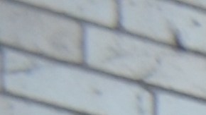 Feligreses de la Iglesia San Adalberto, en Pilsen, tienen un grupo de rosario y piden la reapertura de ese templo. (Belhú Sanabria / La Raza)