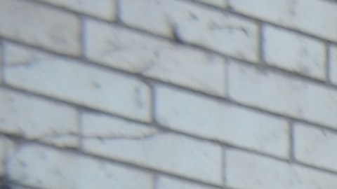 Feligreses de la Iglesia San Adalberto, en Pilsen, tienen un grupo de rosario y piden la reapertura de ese templo. (Belhú Sanabria / La Raza)