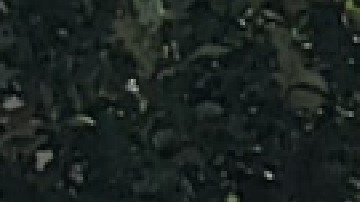 Trabajadores en siete campus abandonarán el trabajo e irán a huelga de no llegar a un acuerdo con el sistema escolar antes del próximo 2 de noviembre. Foto Extraída de Facebook Colegios Comunitarios de Chicago