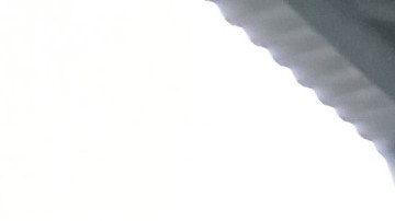 La CTA también se acercó al millón de viajes el 31 de agosto.