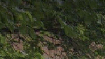 La escuela primaria Dulles se ubica en el 6311 sur de la avenida Calumet en West Woodlawn de Chicago.