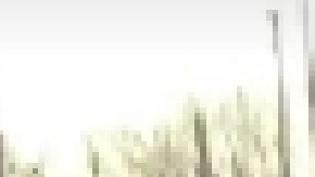 El tiroteo ocurrió en la línea roja de la CTA en el vecindario de West Chatham el sábado alrededor de las 6:10 am, dijo la policía. Foto Google Maps