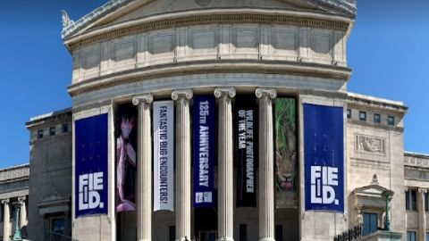 El Chicago Field Museum se ubica en el 1400 S. Lake Shore Dr., Chicago.