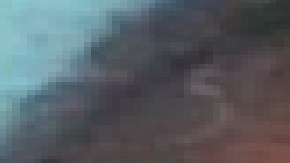 Ora Woods, de 85 años, fue vista por última vez el 29 de septiembre. Foto Cortesía Departamento de Policía de Chicago.