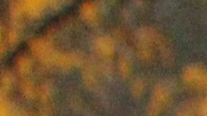 Inmigrantes y organizadores comunitarios tocan puertas y hacen llamadas instando a los potenciales electores a salir a votar en las elecciones de medio término el 8 de noviembre. (Cortesía ICIRR)