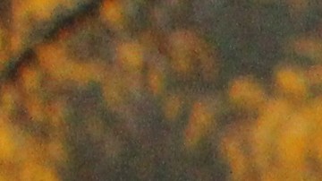 Inmigrantes y organizadores comunitarios tocan puertas y hacen llamadas instando a los potenciales electores a salir a votar en las elecciones de medio término el 8 de noviembre. (Cortesía ICIRR)