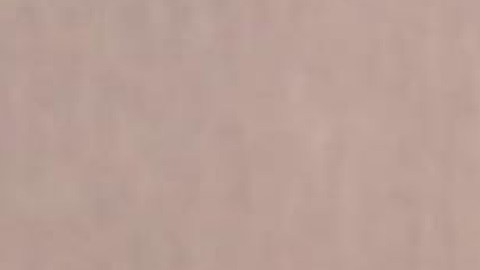 La alcaldesa de Chicago Lori Lightfoot dijo que su objetivo es nombrar a un candidato para el puesto dentro de los 60 días. Foto Extraída de Facebook concejal George Cárdenas.