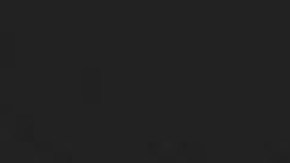 Bilian Fang, de 40 años, fue vista por última vez el 9 de octubre en la cuadra 3000 sur de la calle Lock. La familia de Fang, la reportó como desaparecida esa semana. Foto Cortesía Departamento de Policía de Chicago