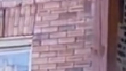 Si busca vacunarse contra la gripe en el Hospital Saint Anthony se atenderá este sábado de 7 am a 1 pm. Foto Captura CBS2.