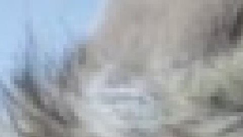 os lugares de calentamiento de la ciudad abren a los residentes cuando las temperaturas registradas son de 32 grados o menos.