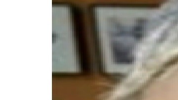 Rhonda Davis, de 62 años, mide 5 pies 3 pulgadas, pesa 160 libras, tiene el cabello gris, ojos café, además de una cicatriz en la nuca.  Foto Cortesía Departamento de Policía de Chicago.