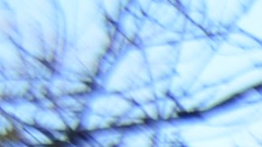 Néstor y Ulpiano Correa en los camiones de comida de su restaurante ‘La Humita Express’. (Belhú Sanabria / La Raza)