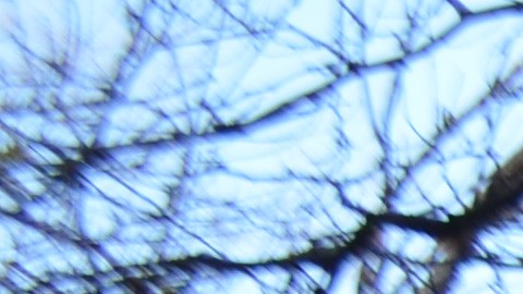 Néstor y Ulpiano Correa en los camiones de comida de su restaurante ‘La Humita Express’. (Belhú Sanabria / La Raza)