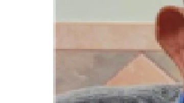 José Guadalupe Arévalo, de 83 años, fue visto por última vez el 1 de diciembre. Foto Departamento de Policía de Berwyn.