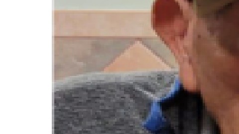 José Guadalupe Arévalo, de 83 años, fue visto por última vez el 1 de diciembre. Foto Departamento de Policía de Berwyn.