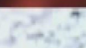 Estudiantes de la escuela secundaria Benito Juárez en Pilsen exigen justicia tras el asesinato a tiros de dos adolescentes a plena luz en ese vecindario de Chicago. Foto cortesía CPD