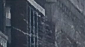 La Autoridad de Tránsito de Chicago espera contar con flotas de autobuses totalmente eléctricos para 2040.