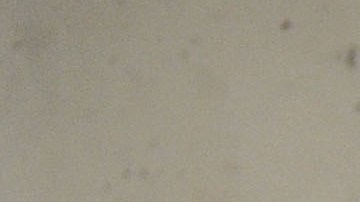 Los grupos empresariales dijeron que la propuesta perjudicaría a las pequeñas empresas.