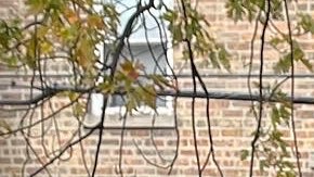 El joven activista Saúl Arellano hace campaña con el objetivo de ser electo al concilio del Distrito 25 de la policía de Chicago en las elecciones del próximo 28 de febrero. (Cortesía Saúl Arellano)