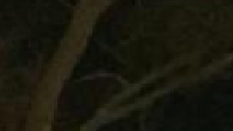 La causa del incendio continúa bajo investigación. Foto Departamento de Bomberos de Evanston.