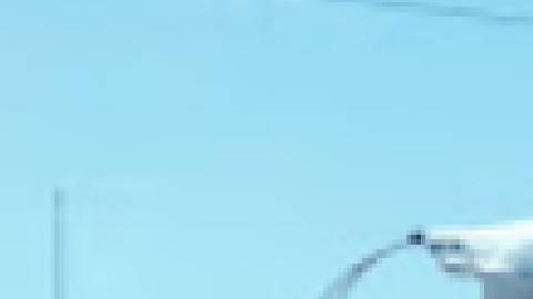 Después del incidente se observó una fuerte presencia policial en el lugar.