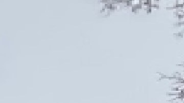 Lluvia helada y vientos fuertes dejaron sin electricidad a decenas de familias. Foto cortesía ComEd.