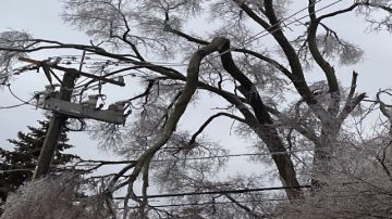 Lluvia helada y vientos fuertes dejaron sin electricidad a decenas de familias. Foto cortesía ComEd.