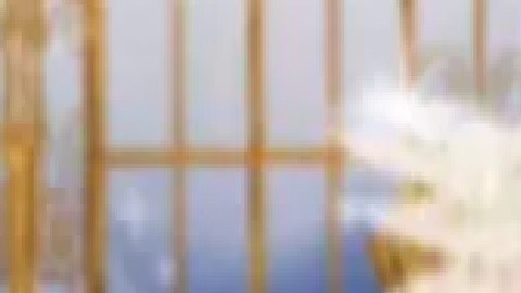 Reyna Cristina Ical Seb, de 20 años, murió de una herida de bala en la cabeza.  Foto Cortesía gofundme