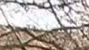 Estudiantes y vecinos del barrio de La Villita quieren que las autoridades inviertan más en servicios de salud mental. Foto captura Fox 32 Chicago