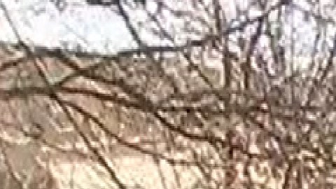 Estudiantes y vecinos del barrio de La Villita quieren que las autoridades inviertan más en servicios de salud mental. Foto captura Fox 32 Chicago