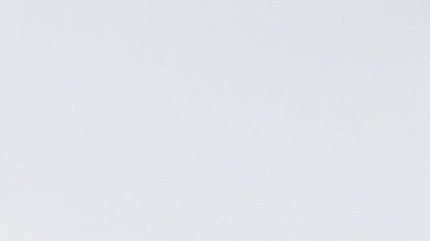 Una prueba de embarazo positiva. (Shutterstock)