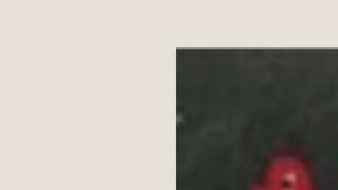 Zuvanta McBride, de 13 años, fue vista por última vez el 4 de enero en el área de Chatham. Foto Chicago City Wire.