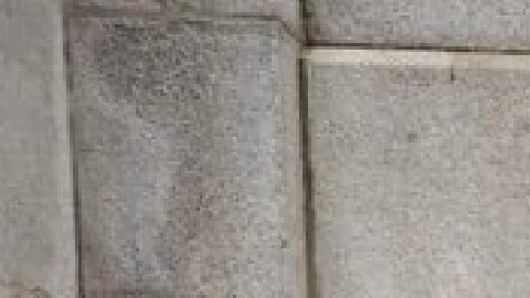 Estos son los 11 hombres que pasaron años tras las rejas por crímenes que dicen no cometieron. Ellos han presentado demandas por separado contra el detective de Chicago Reynaldo Guevara. Foto extraída de Facebook Innocent Demand Justice