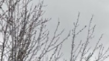 Los estacionamientos en ORD se están llenando rápidamente debido a los viajes por las vacaciones de primavera. Verifique el estado del estacionamiento antes de partir hacia el aeropuerto. Foto cortesía Aeropuerto O'Hare.