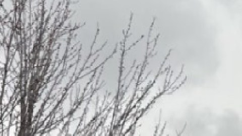 Los estacionamientos en ORD se están llenando rápidamente debido a los viajes por las vacaciones de primavera. Verifique el estado del estacionamiento antes de partir hacia el aeropuerto. Foto cortesía Aeropuerto O'Hare.
