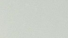 Miembros de la Coalición de Reembolso del Costo de Vida aseguran que el Crédito Tributario por Hijos ayudaría a reducir la pobreza infantil, pagar las facturas, disminuir la inseguridad alimentaria y mejorar el rendimiento académico. (Cortesía Centro de Trabajadores Unidos)