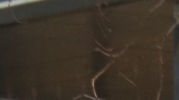 En el centro de Chicago, inmigrantes y activistas locales protestan en el 20 aniversario de ICE. (Cortesía OCAD)