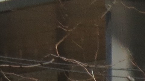 En el centro de Chicago, inmigrantes y activistas locales protestan en el 20 aniversario de ICE. (Cortesía OCAD)