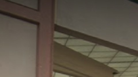 Una mujer de Palatine tuvo que entrar al estacionamiento de la escuela William Fremd para tener un bebé. Foto Google Maps.