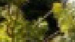 Herbalife es una compañía de nutrición y de venta directa y multinivel fundada en 1980, que opera en Estados Unidos e internacionalmente en 94 países, según se lee en su portal web.