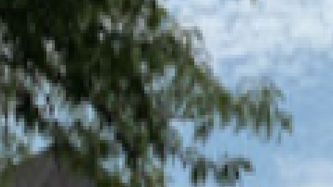 Los oficiales en el Motel 6 en Glenview detuvieron a una persona de interés y se recuperó un arma de fuego. Foto Google Maps