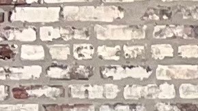 Personas se reunieron afuera de la oficina del Centro de Trabajadores Unidos durante la conferencia en la que informaron de la demanda de Norberto Navarro contra el Condado de Will. (Cortesía Centro de Trabajadores Unidos)