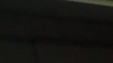 Una reunión del Grupo de Inteligencia sobre Pandemias y Epidemias de la Organización Mundial de la Salud.