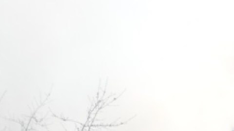 Al menos 24 unidades resultaron dañadas tras incendio en dos edificios de un complejo de apartamentos en Palatine. Foto cortesía Northern Midwest Fire Photography