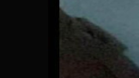 Encuentran el cuerpo de Rosa Chacón, de 21 años, en un carrito de Lavandería en un callejón al suroeste de Chicago. Foto extraída de Facebook Missing Person Awareness Network NFP