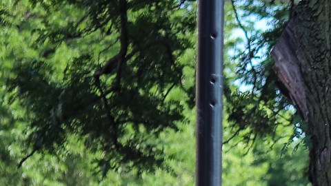 Muchos optarán por ir a las despensas de alimentos de los barrios, como por ejemplo Pan de Vida en La Villita, ante el fin del pago extra del programa SNAP. (Cortesía New Life Centers)