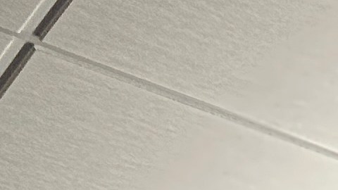 Organizadores comunitarios locales y legisladores estatales lanzaron una campaña para expandir la cobertura de salud para los indocumentados y residentes permanentes legales con menos de cinco años en Illinois. (Cortesía Campaña Healthy Illinois)